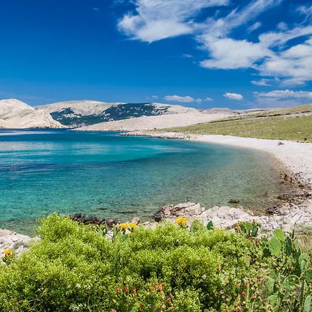 Valis Апартаменты