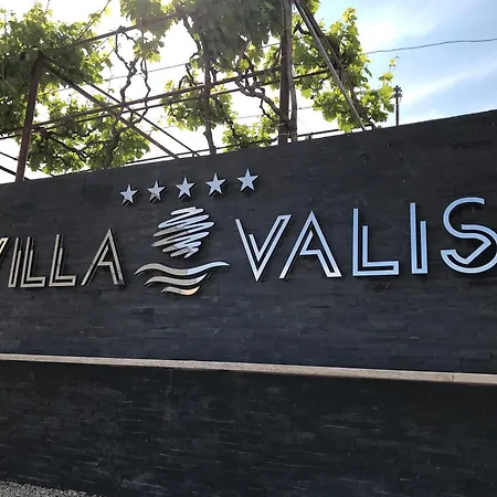 Valis